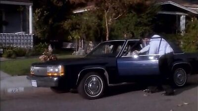 The Unexpected Turn-Up: Nunzios Second Cousin Gay Porn Video