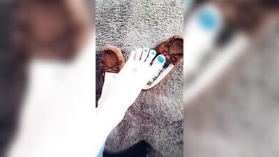 My Best Feet Videos of the Winter!