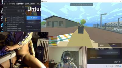 Vibrator while playing Unturned Europe Map 3