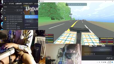 Vibrator while playing Unturned Europe Map 3