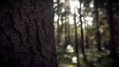 Sexy sensual spirituality