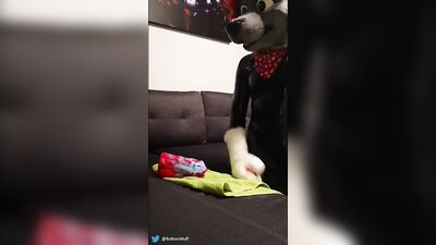 Rubber wolf fucking dragon muzzle