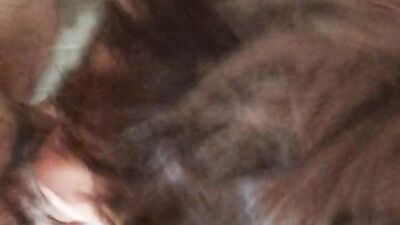 POV MY HUSBAND SWALLOWS MY HARD AND VEINY COCK