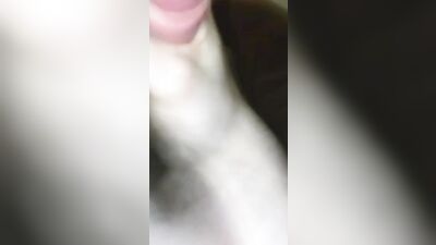 Twink pup plays with his bone