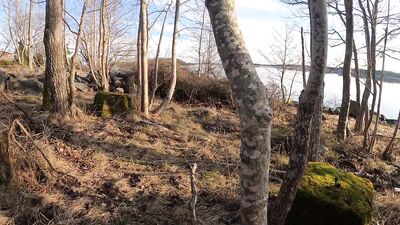 Johann Wood | Delicious cumload in the warm spring sun