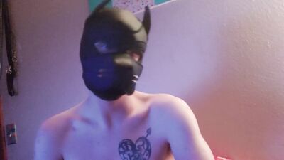 Pup Axel sucking my cock