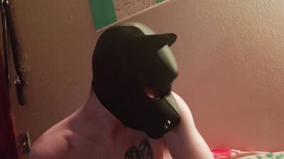 Pup Axel sucking my cock