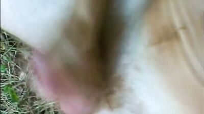 Gay Porn Video - Amature Cum Shots Blond Boys Experience the raw excitement of NIK 19 YEARS with this new release!