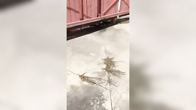 Fraternity brothers jerking together outdoors boys porn