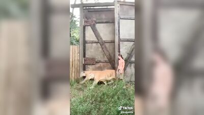 The Boys Cats Twink Adventure - Publius Porn