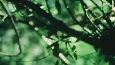 Pacific Coast Highway Revival: Four Hotties and One Unforgettable Road Trip