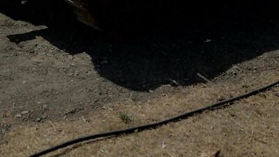 Country Gay Porn Adventure: Exploring the Wild Side of Love in the Rural Landscape!