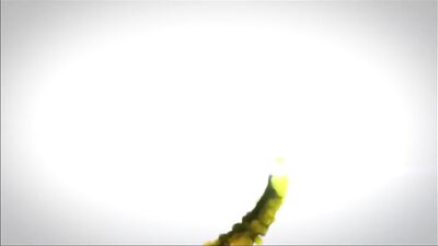 Cumping on teddy bear