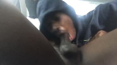 boys just wanna have fun