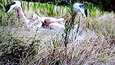 Old video Skinny Twink ass fucking dildos in a car park Potato cam