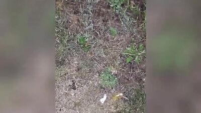 Young twink cruising in a car jerking off with a good load