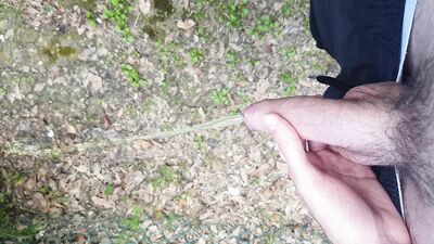 Taking a le*ak in a public park.