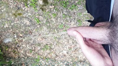 Taking a le*ak in a public park.