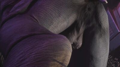 Rhino Mating with Twink Boy #2 (Gay Furry) / Wild Life Furries