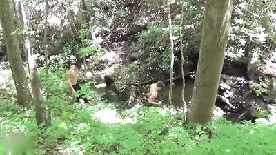 Raw Frat Boys: Action Bareback Big Cocks