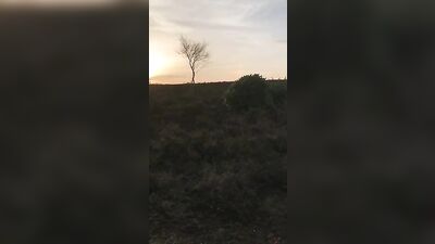 Matt Goes Wild in Public! Outdoor Amateur Blond Boy Handjob Solo