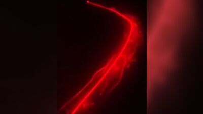 Exploring Desires: Ultimate Gay Porn Video - Uitotuot