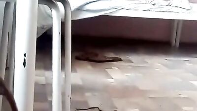 Jerking off in Public: The Twinks Hospital Adventure!