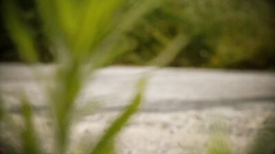 Only God can judge me!