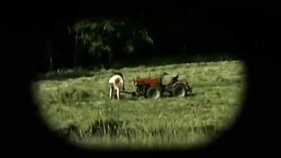 Gay Porn Adventures - Bareback Outdoor Scenes