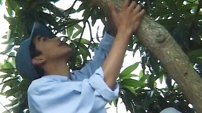 Gay Juicy Fruits Porn Video - Latino Bareback Cum Shots