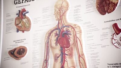 Doctor Do Me Twinks - Gay Porn Videos: Hardcore Bareback Action!