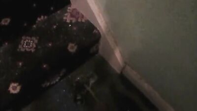 Carpet Pissing: Desperate No Toilet Relief!