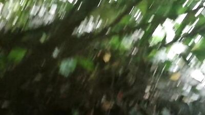 Wild Bush Adventure: Teen Self-Pleasure in the Wild