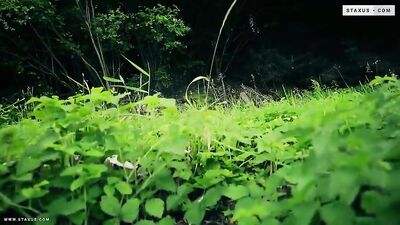 Sexual Adventures in Nature: Bareback Action with Oral and Public Scenes!