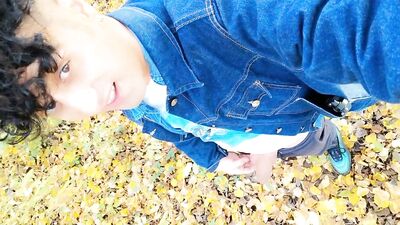 Autumn peeing on dry leaves in a park