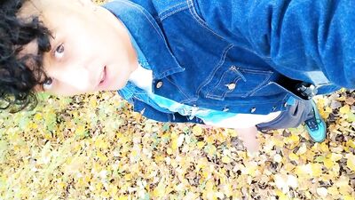 Autumn peeing on dry leaves in a park
