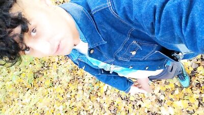 Autumn peeing on dry leaves in a park