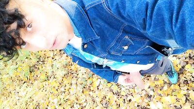 Autumn peeing on dry leaves in a park