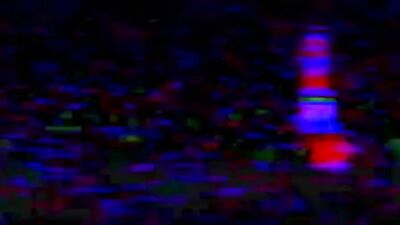 Gay Daddy Camping Adventures with CA Austin! HOT GAY SEX ON THE OUTDOORS