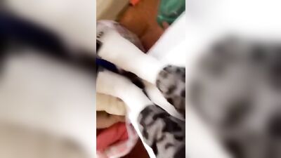 Black boy solo masturbation: Ultimate amateur black cocks porn video!