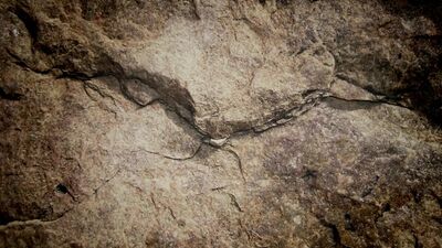 Interracial FTM Threeway!