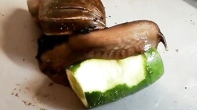 Lunch Time Fun!: A Gay Porn Video with Unforgettable Moments