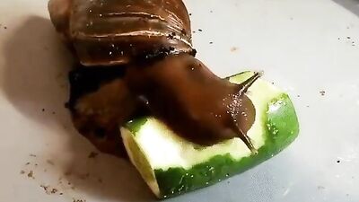 Lunch Time Fun!: A Gay Porn Video with Unforgettable Moments