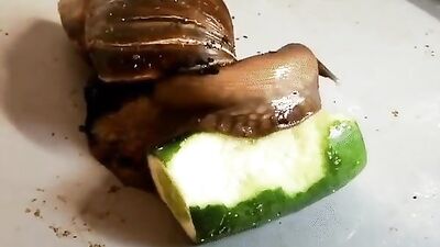 Lunch Time Fun!: A Gay Porn Video with Unforgettable Moments