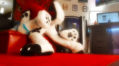 Chastity Slut gets railed in Fursuit