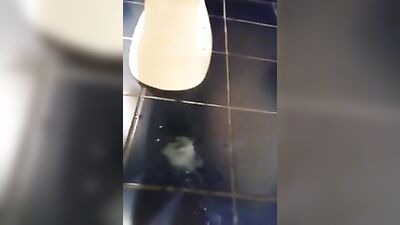 Gay Porn Compilation with Pre-Cum - Amateur Cum Shots Fun