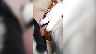 BioBatz fucks fursuiters muzzle