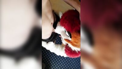 BioBatz fucks fursuiters muzzle