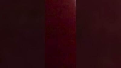 Markus Pelz: Backdoor Adventures - Amateur Anal Delights!