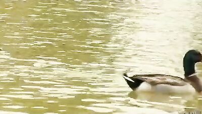 Oh To Be Young Again - A Gay Porn Adventure with Big Cocks and Hot Action